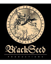 BlackSeed Productions